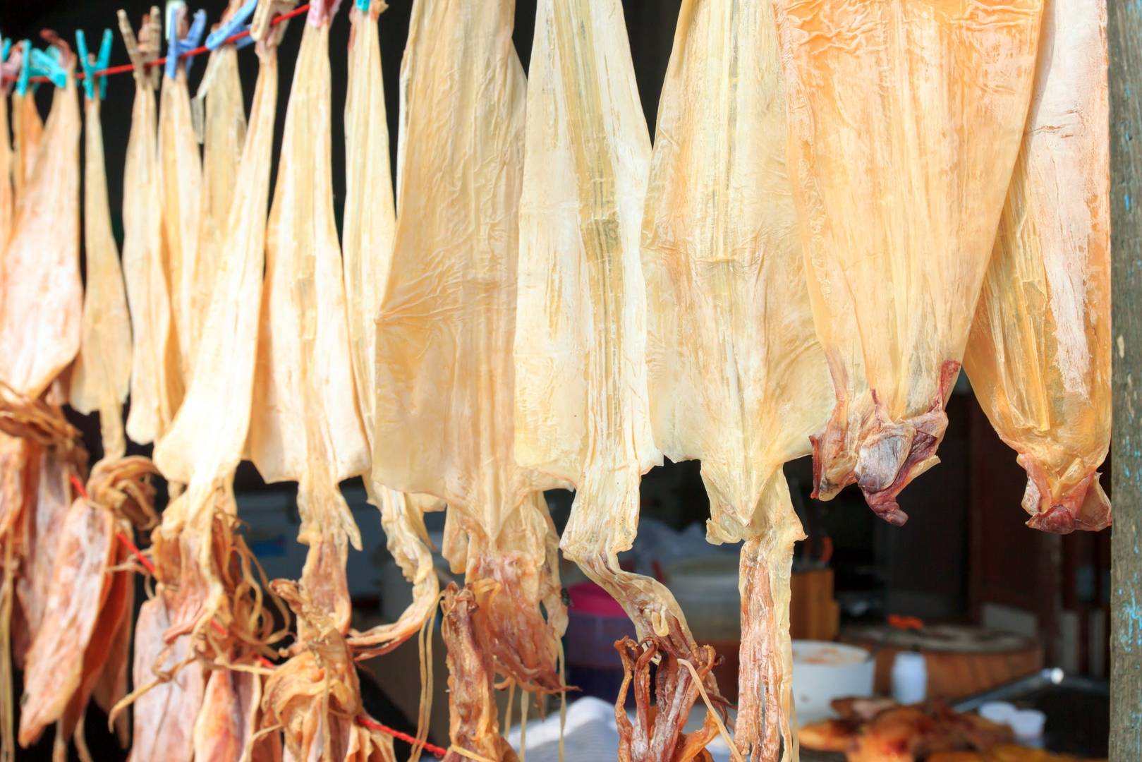 魷魚干燥低場(chǎng)核磁共振測(cè)試實(shí)驗(yàn)