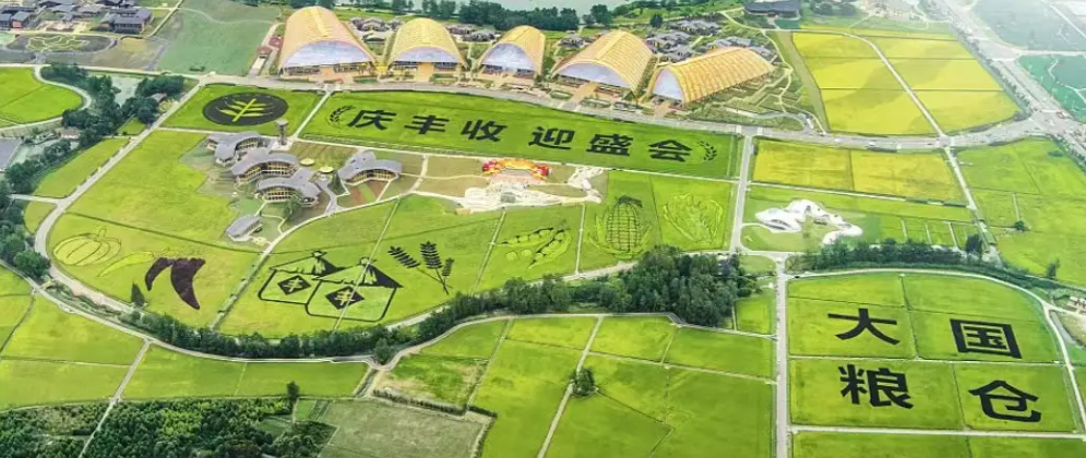 第五個中國農(nóng)民豐收節(jié)|紐邁攜農(nóng)產(chǎn)品品質(zhì)成分低場核磁快速分析儀 亮相天府農(nóng)博園